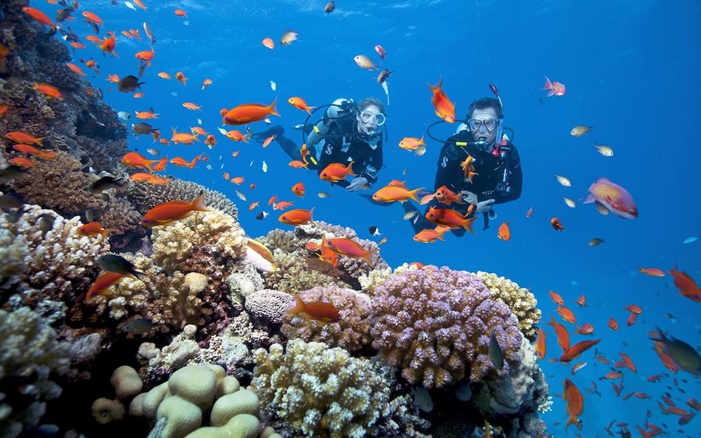 Lặn ngắm san hô là hoạt động được du khách mong chờ nhất trong chương trình tour